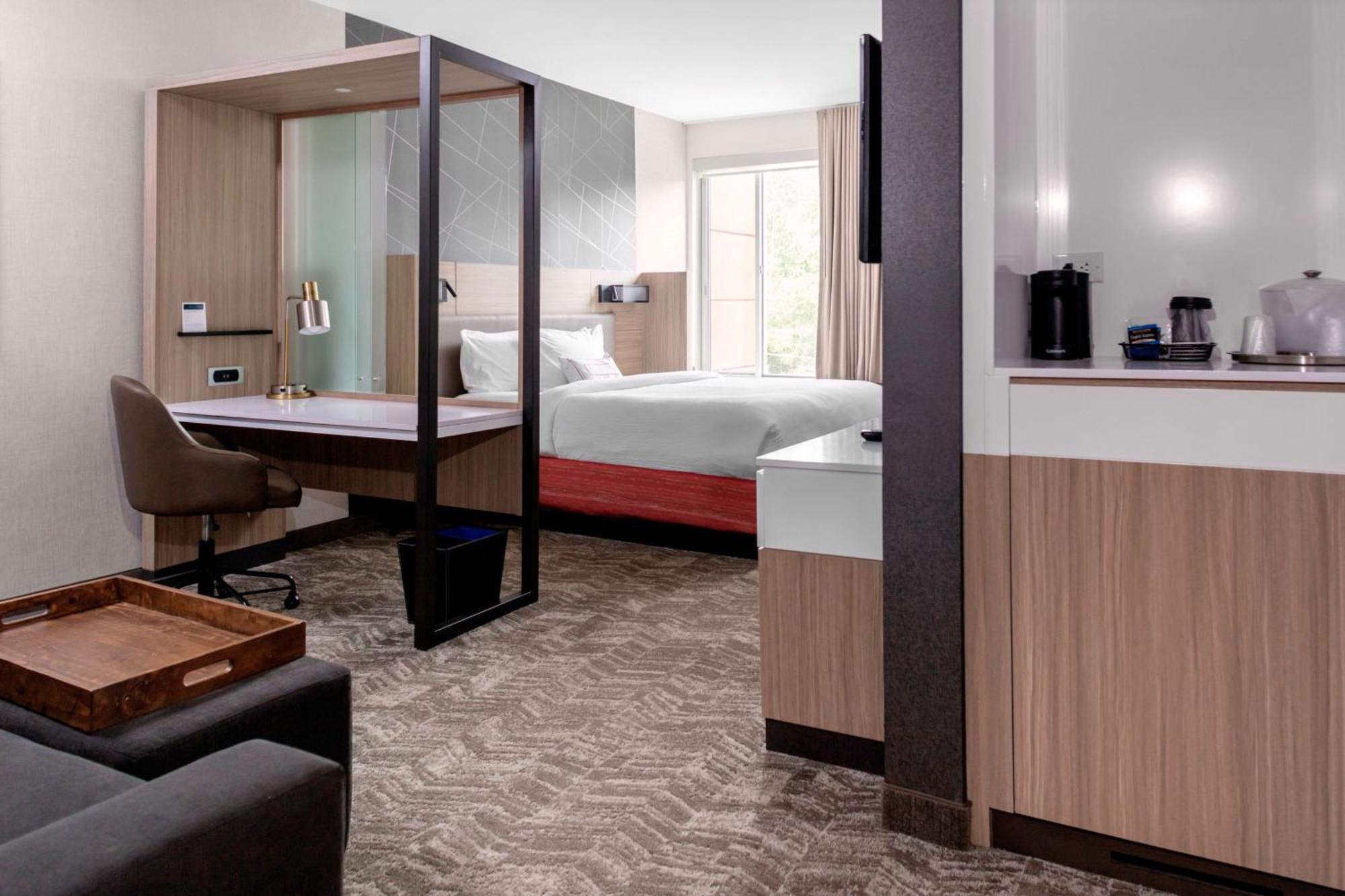 Springhill Suites By Marriott Suwanee Johns Creek Exteriér fotografie